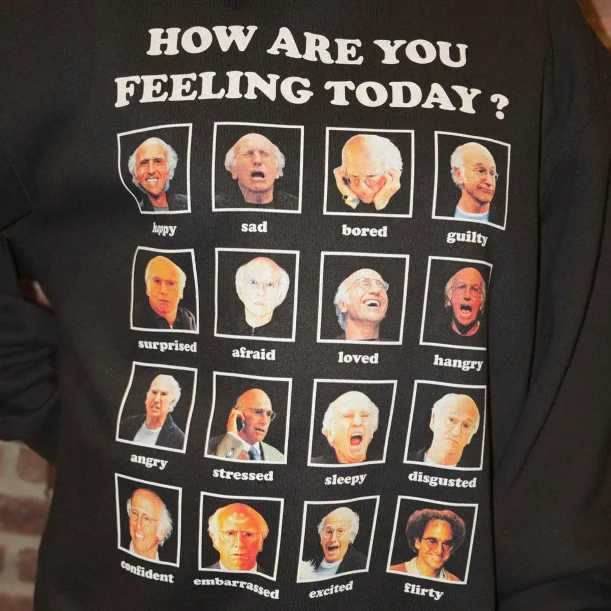 LARRY DAVID CREWNECK - Hamsa Club
