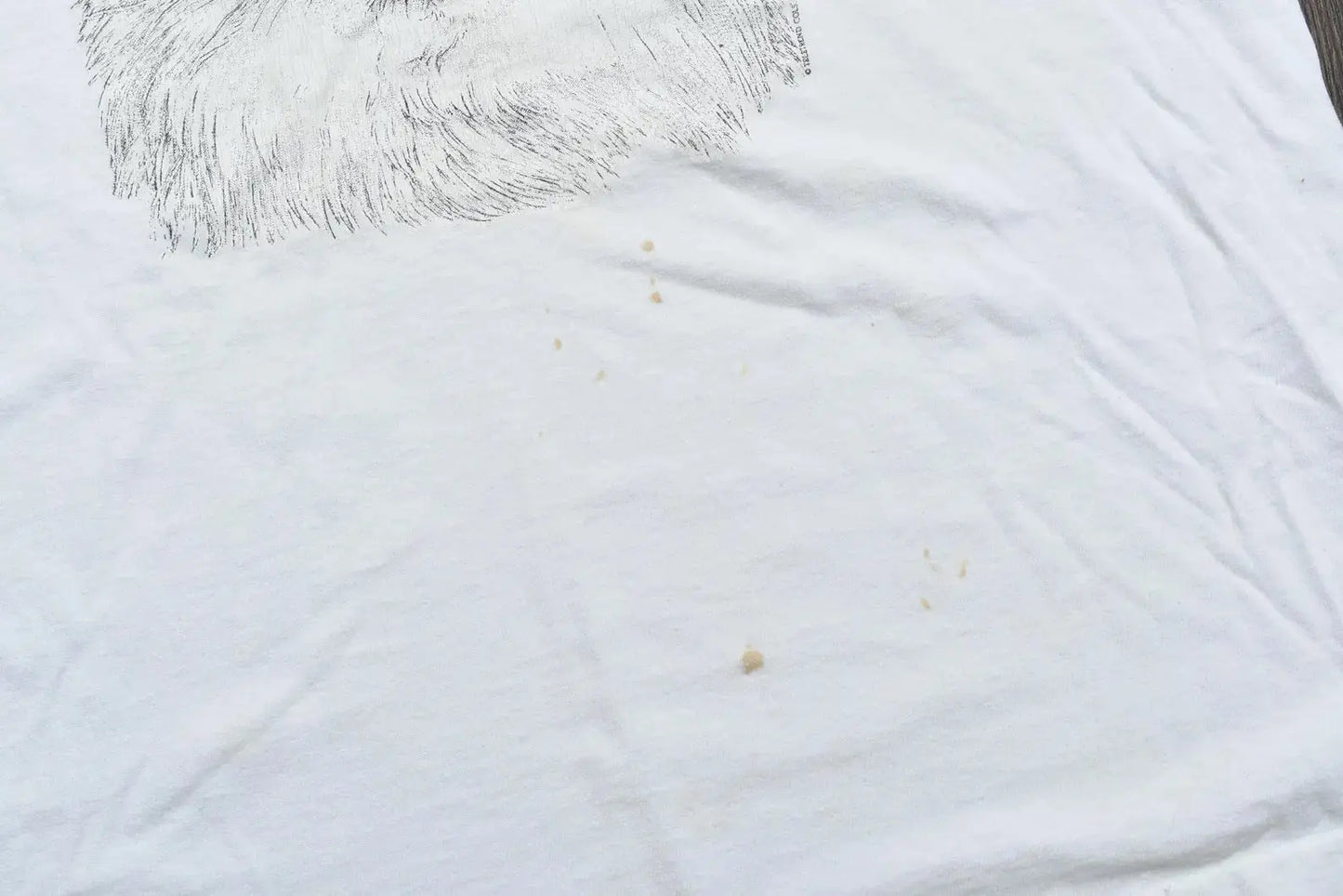 PERSIAN CAT TEE Hamsa Club